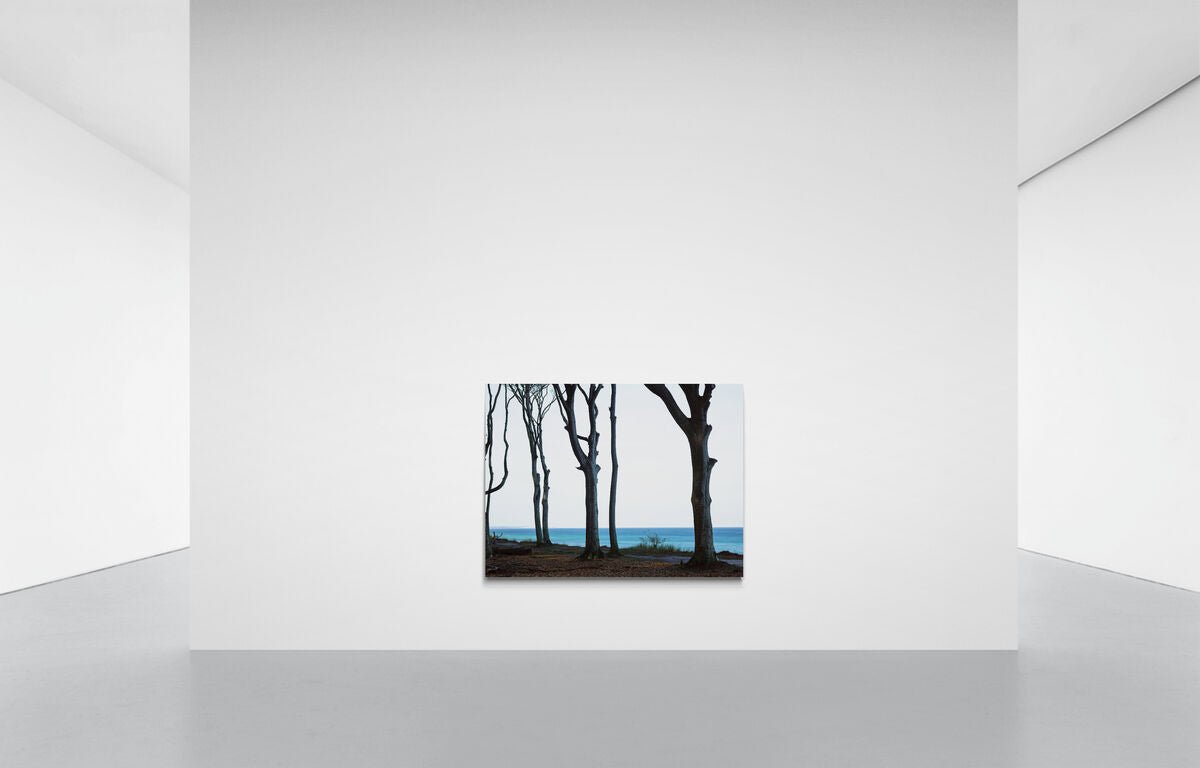 HARLEKINE IM WIND, DEUTSCHLAND