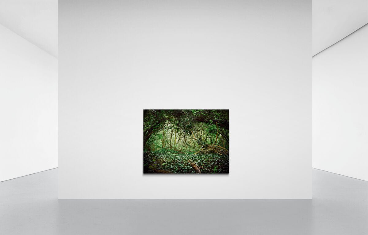 DEUTSCHER WALD, DEUTSCHLAND