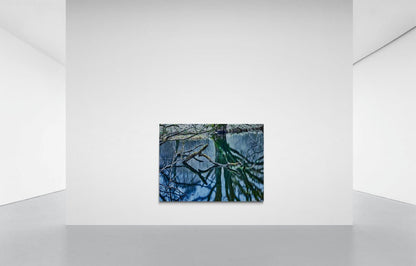 OASIS OF SILENCE 3, SCHOTTLAND