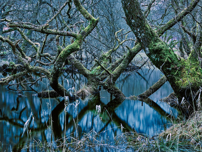 OASIS OF SILENCE 4, SCOTLAND