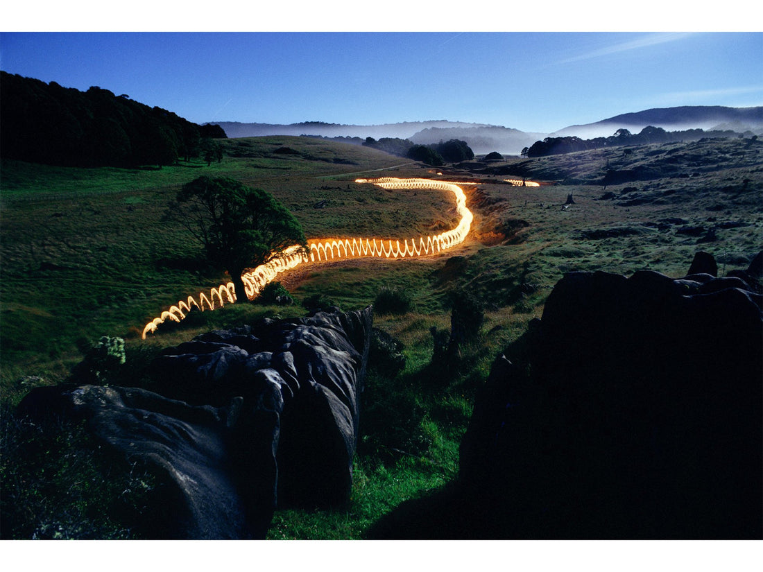 TORCHLIGHT, NEW ZEALAND