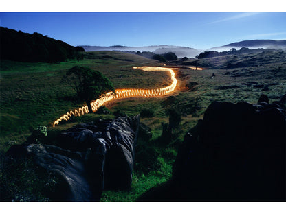 TORCHLIGHT, NEW ZEALAND