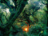 RAINFOREST 3, NEW ZEALAND