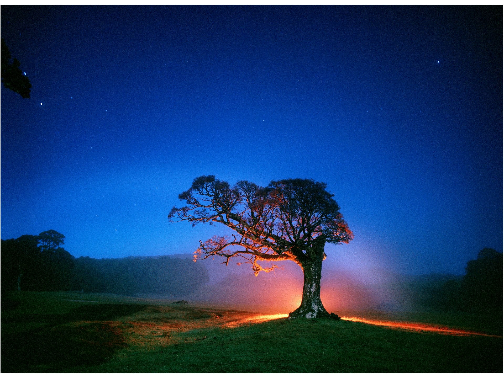 RELEASE OF ENERGY, NEUSEELAND